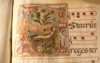 Manoscritti e codici della Biblioteca di Farfa Manoscritti e codici della Biblioteca di Farfa